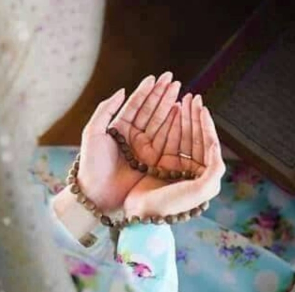 qudsiagqudsia